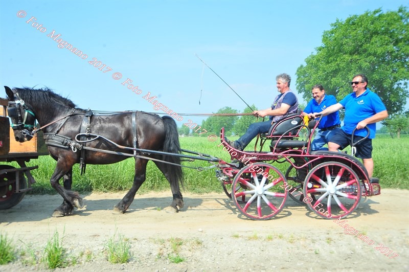 DSC_0818.JPG